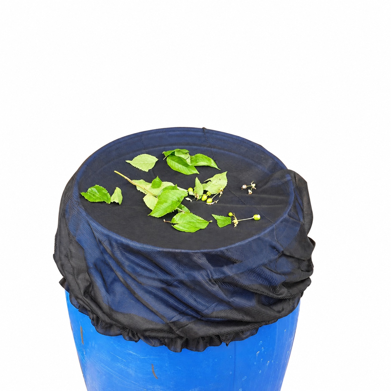 Black mesh rain-barrel cover over a blue barrel with leaves on top.