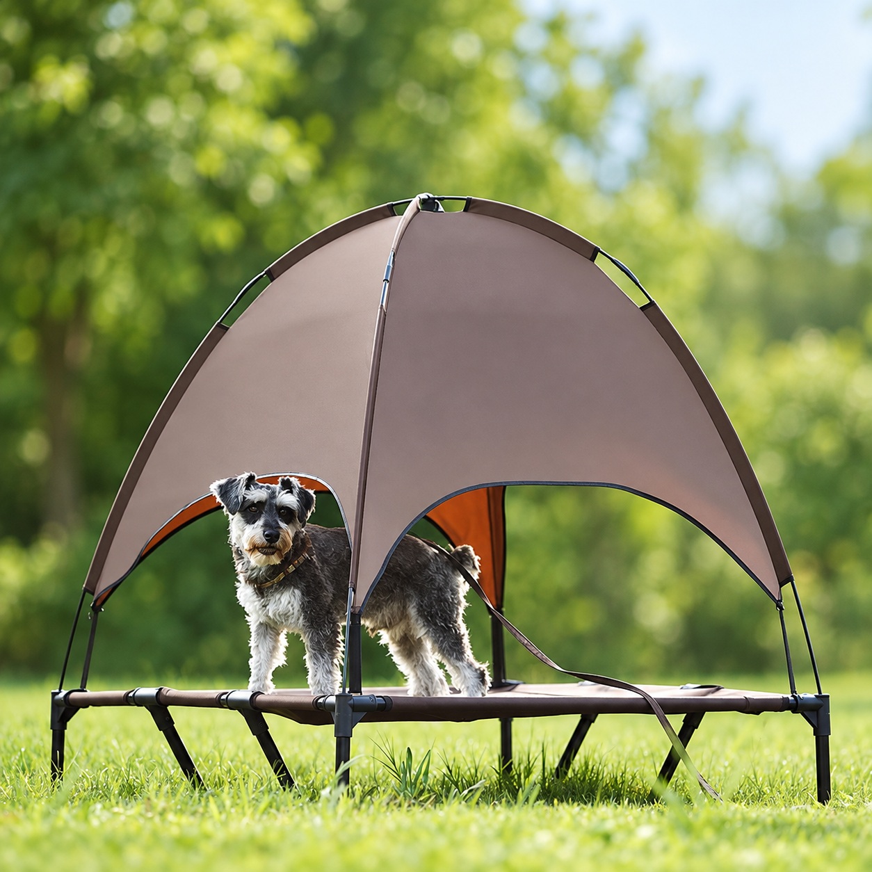 Dog standing on an elevated cot beneath a brown arched pet shade canopy